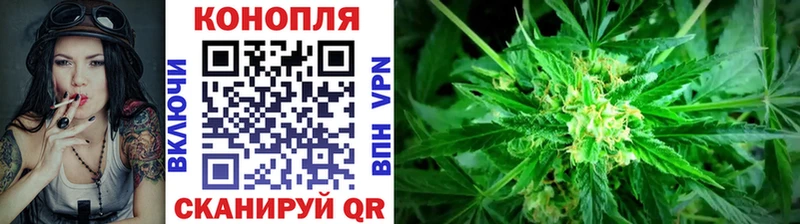 Как найти закладки Гусиноозёрск Каннабис Alpha-PVP Гашиш