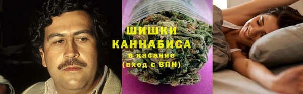 ПСИЛОЦИБИНОВЫЕ ГРИБЫ Кинешма