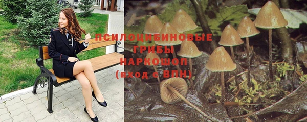ПСИЛОЦИБИНОВЫЕ ГРИБЫ Кинешма