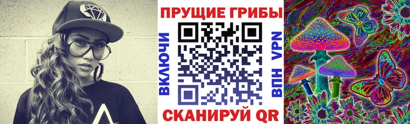 mega   Гусиноозёрск  Псилоцибиновые грибы мухоморы  наркота 