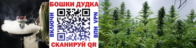 Бошки марихуана планчик  сайты даркнета телеграм  Гусиноозёрск 
